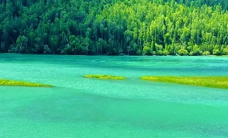 6日目:ブルキン