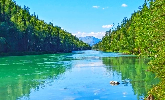 6日目:ブルキン