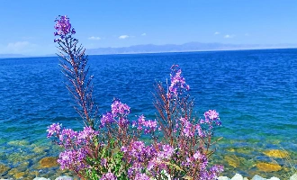 8日目: Karamay - ブール