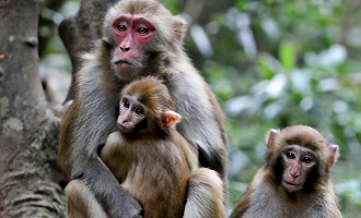 Giorno 1: Arrivo a Guiyang