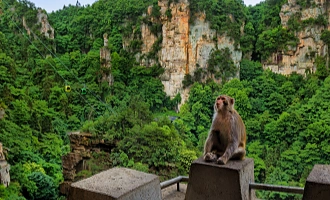 Giorno 7: Zhangjiajie