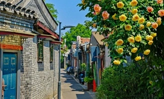 일 4: 베이징--Chengdu