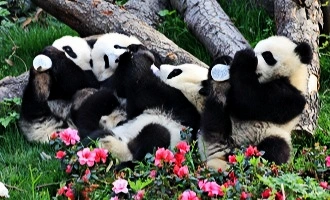 День 2: Чэнду