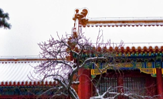 День 11: Выезд из Пекина