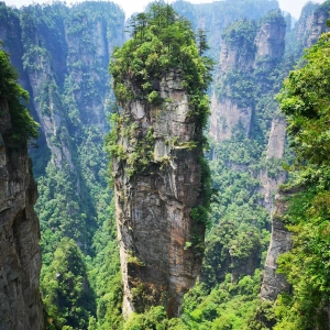 2 일 Zhangjiajie Wonders 투어