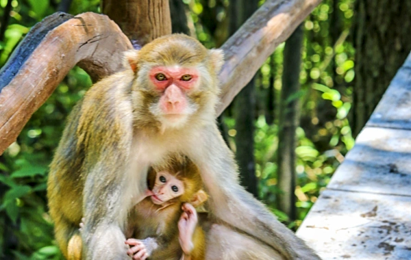 Giorno 4: Zhangjiajie