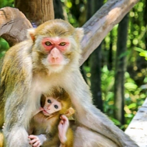 Guilin Zhangjiajie 경이로운 7 일 투어