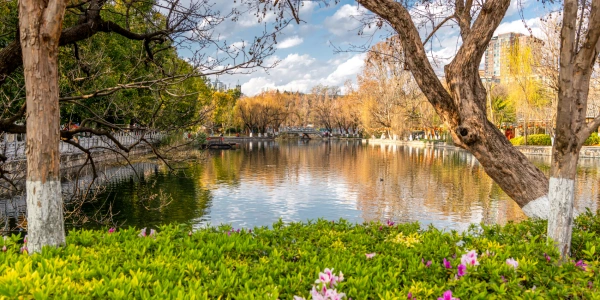 1 일 : 쿤밍 도착