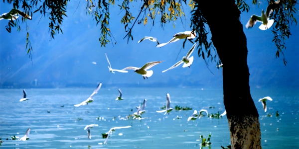 1 일 : 쿤밍 도착