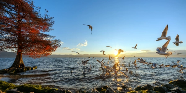 1 일 : 쿤밍 도착