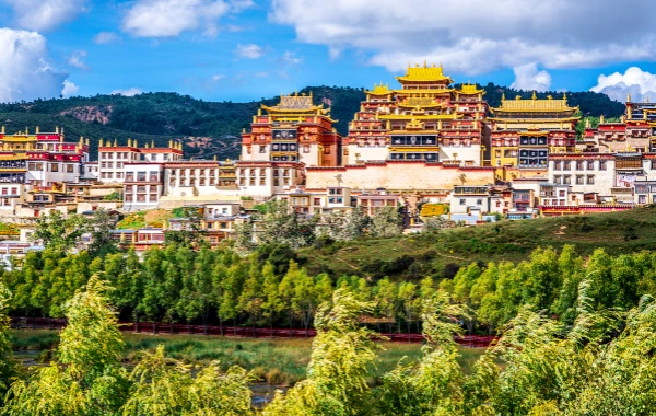 8日目: 成都シャングリラ