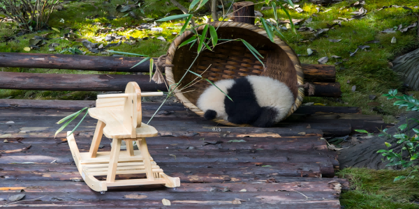 День 2: Чэнду