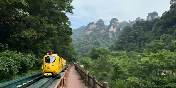 День 5: Чжанцзяцзе