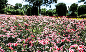 Tag 1: Kunming Ankunft