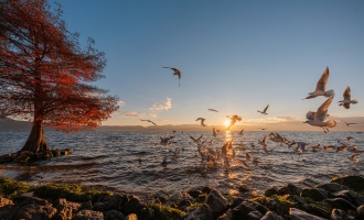 Tag 1: Kunming Ankunft