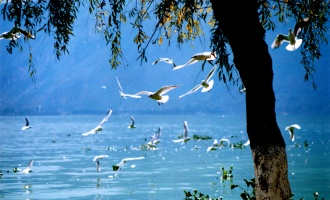 Tag 3: Kunming Abreise