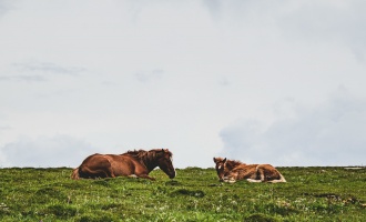 Day 4: Taiyuan Arrival