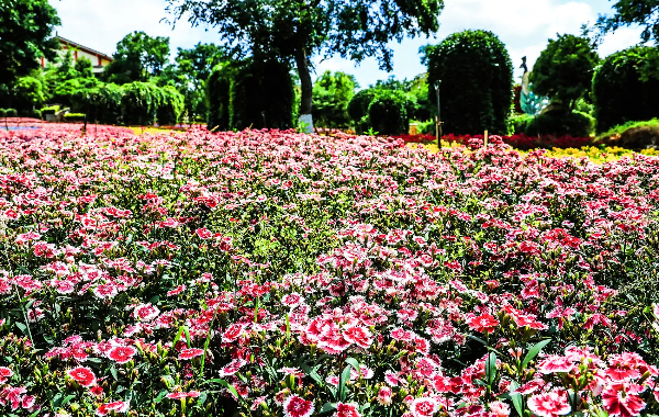 Tag 1: Kunming Ankunft