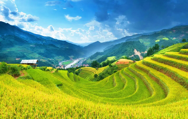 6 日 昆明 Yuanyang Terraces ツアー