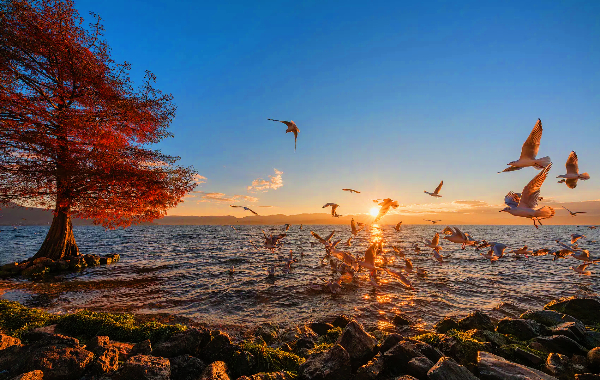 День 1: Прибытие в Куньмин