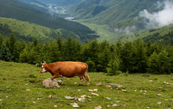 Day 4：Linfen - Taiyuan