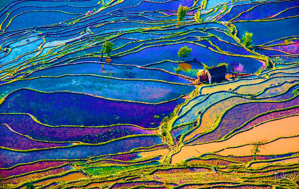 День 5: Юаньян