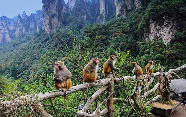Giorno 1: Arrivo a Zhangjiajie