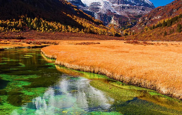 Lijiang Shangri-La 5日間ツアー