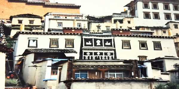 اليوم الرابع: شانغري لا