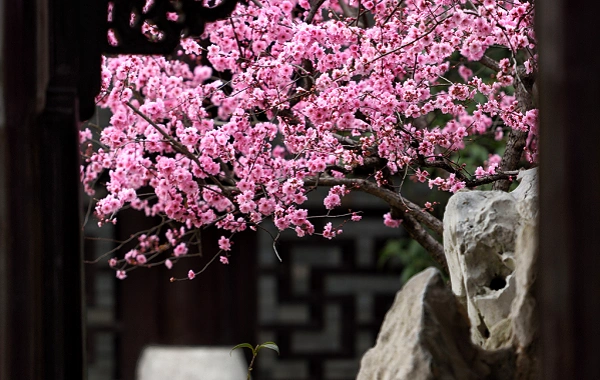 День 4: Цзяньшуй - Юаньян