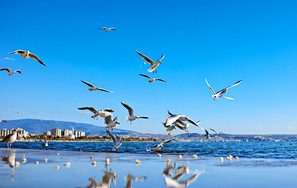 День 6: Юаньян - Куньмин