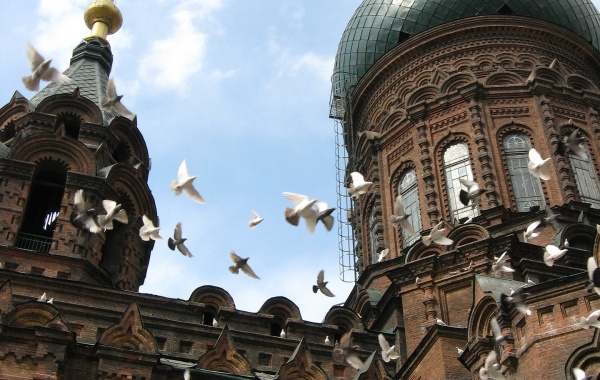 일 1: 하얼빈 도착