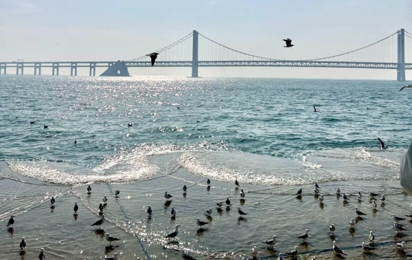 5일차: 대련 - 장춘