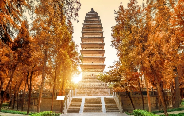 День 6: отъезд Сиань