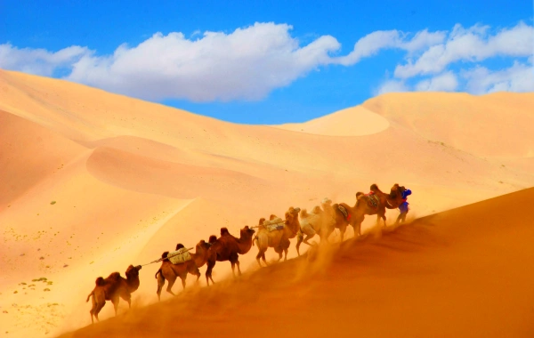 1 Day Dunhuang Ancient Caves and Silk Road Tour