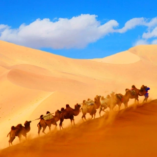 1 Day Dunhuang Ancient Caves and Silk Road Tour