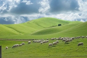 7 日の旅: ハルビン, ハルンビル & マンシーリ