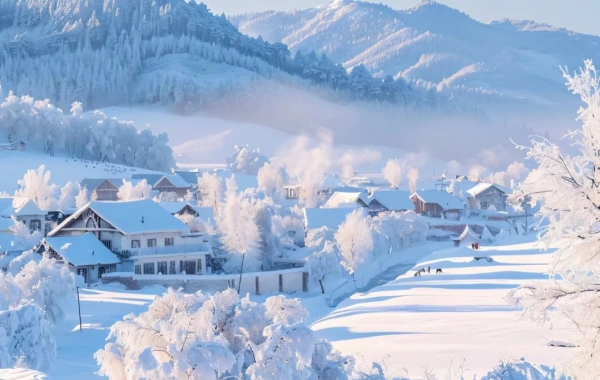 3日目:ハルビン