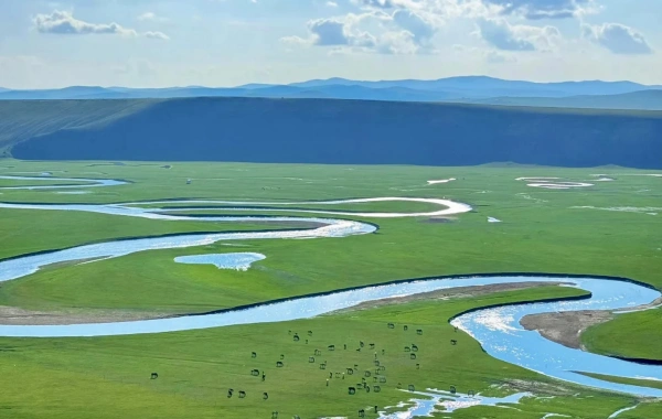 日 5: ハイラー--- マンシーリ