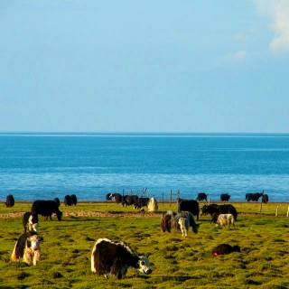 1 день Цинхай Природный тур