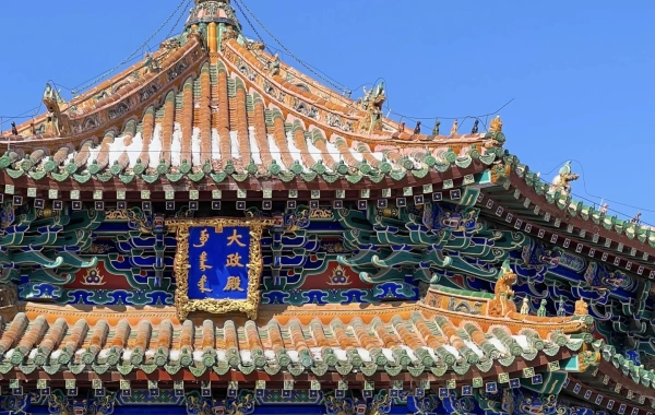 Day5 : 얀지 --실양