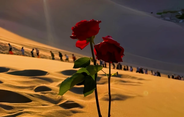 Day 2: Dunhuang - Jiayu Pass