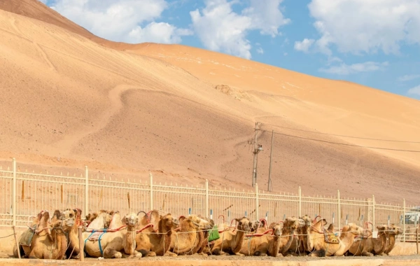3日目:タービン