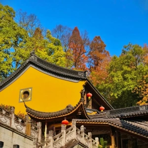 Однодневное путешествие по историческому наследию Ханчжоу