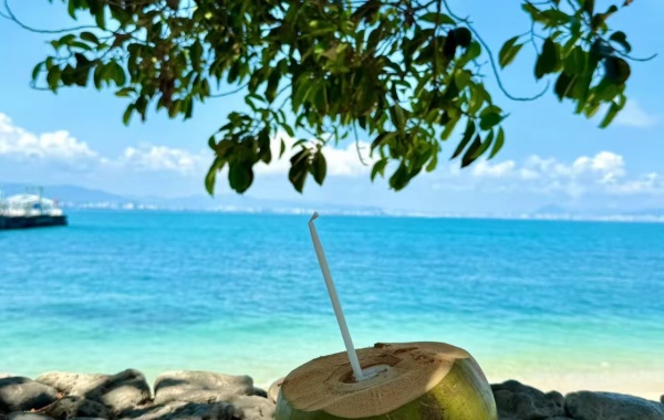 3 일 : 산야 출발