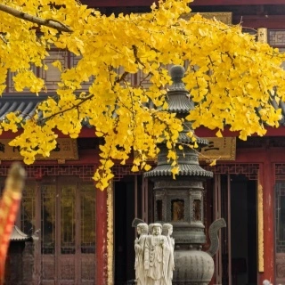7 giorni Chengdu Leshan & Chongqing Cultural & Natural Tour