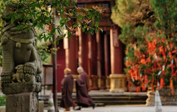 Giorno 3: Chengdu - Leshan