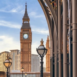 8日間グレーターベイエリア復習ツアー