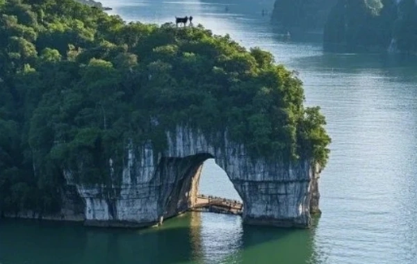 3日目:香港桂林