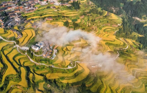 일 3: Anshun - Kaili (B, L)